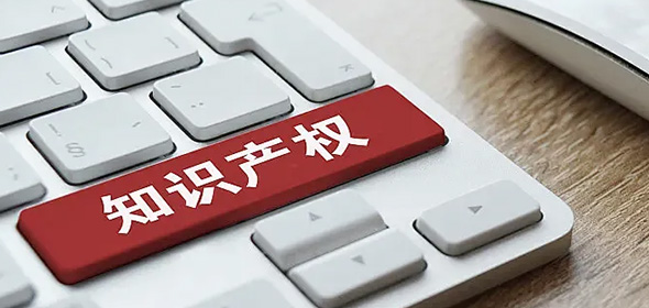 知識(shí)產(chǎn)權(quán)代理機(jī)構(gòu)